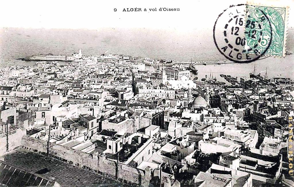 ALGER - A VOL D'OISEAU - 1906 .jpg